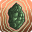 Spell icon